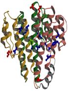 Crystal structure of a central stalk subunit c and reversible association-dissociation of vacuole-type ATP-ase.
