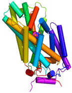 Structure of  the hydantoin permease Mhp1