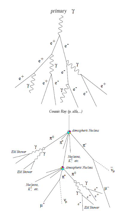 W020180322432342657781.jpg